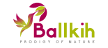 logo ballkih