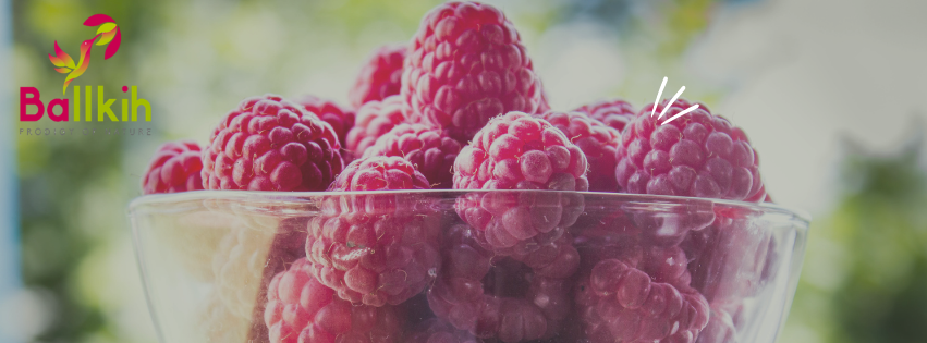 portada ballkih facebook